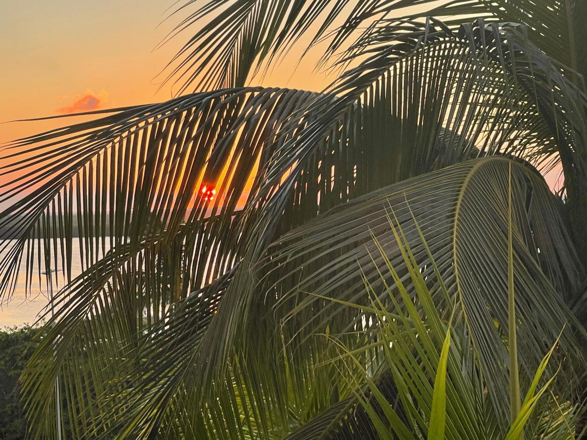 Ova Apartments Cancun Bagian luar foto